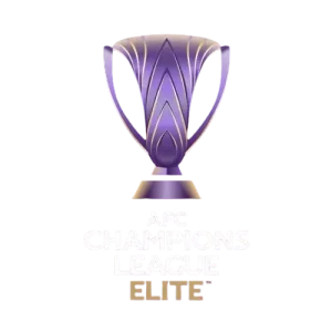 亚冠精英赛 浦项铁人vs川崎前锋20250211