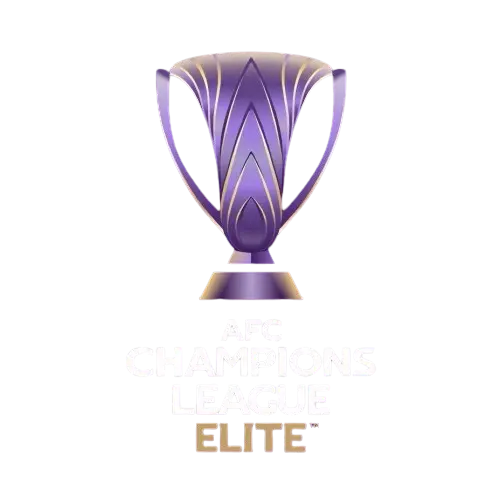 亚冠精英赛 浦项铁人vs川崎前锋20250211