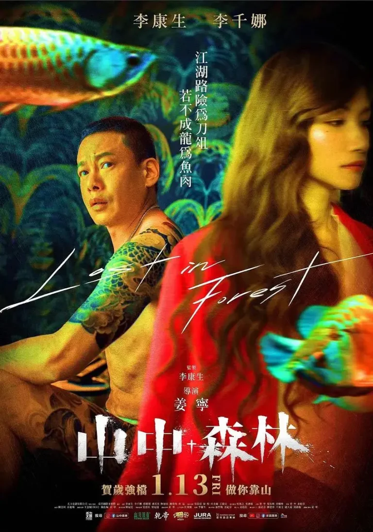 《山中森林》全集高清完整版在线观看与剧情解析