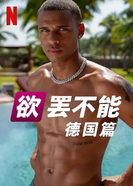 《欲罢不能(德国版)》全集高清完整版在线观看与剧情解析